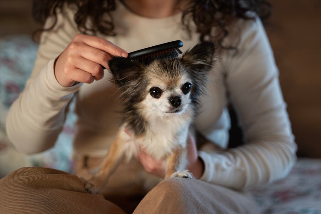 Grooming Tips
