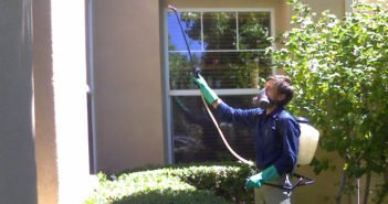 What Are The Best Professional Pest-Control Techniques?