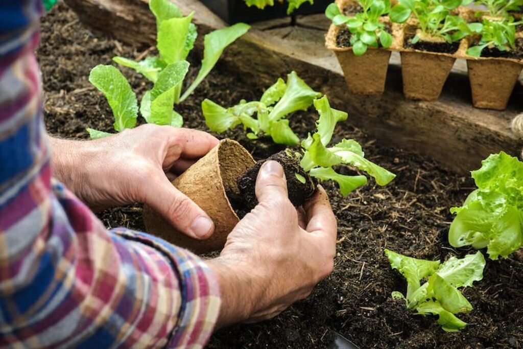 Sustainable gardening