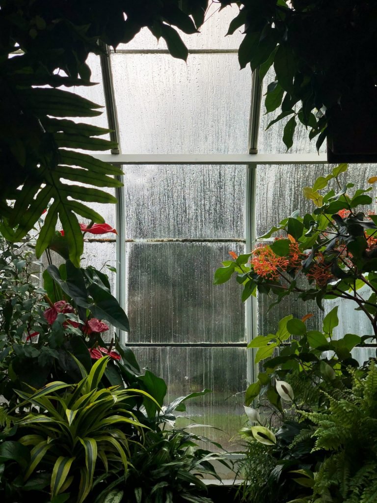 window film