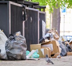 Why Opt for Rubbish Removal Services Instead of Skip Bins?