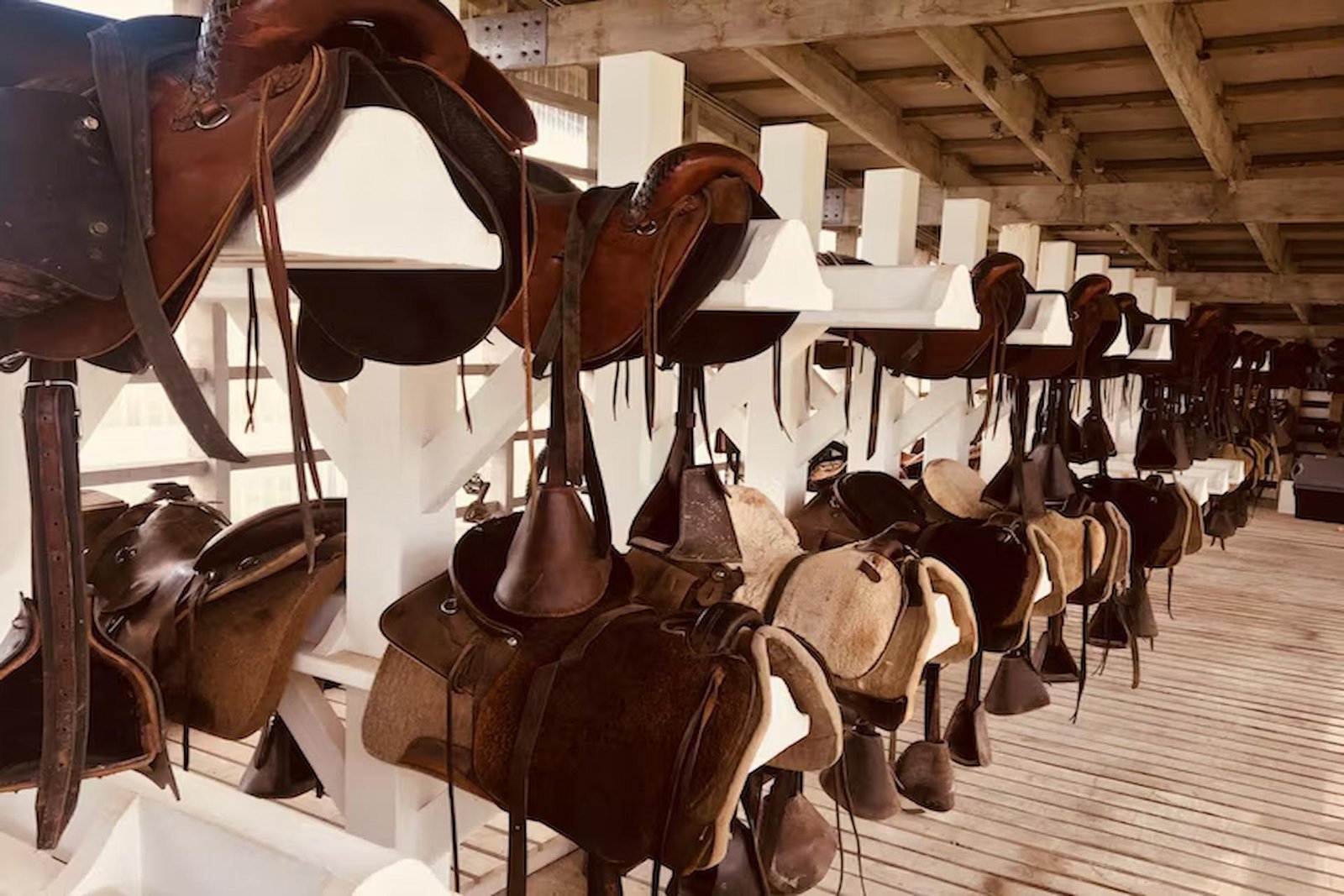 Horse Jump Equipment